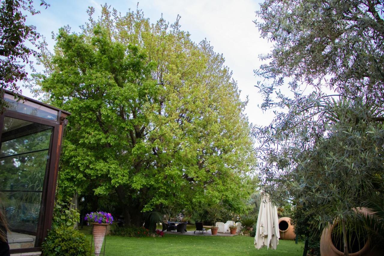 Agriturismo Paradiso Di Barchi Terracina Dış mekan fotoğraf